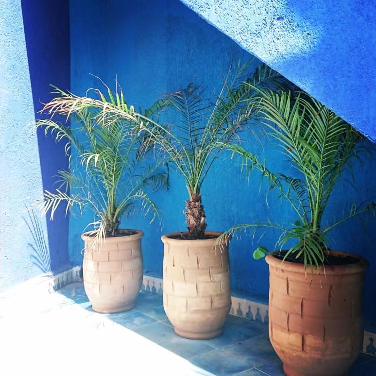 Villa Dar Massaneh à Essaouira Extérieur photo